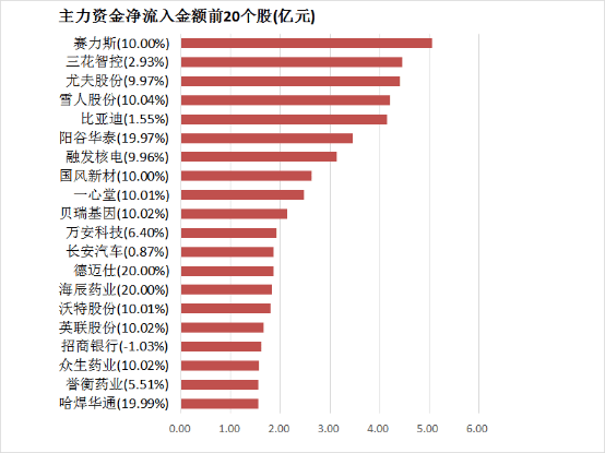 帕斯卡利娜·乐普蒂尔：侍酒与哲学交织的日常